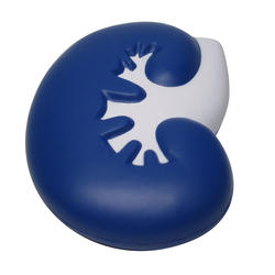 kidney stress ball